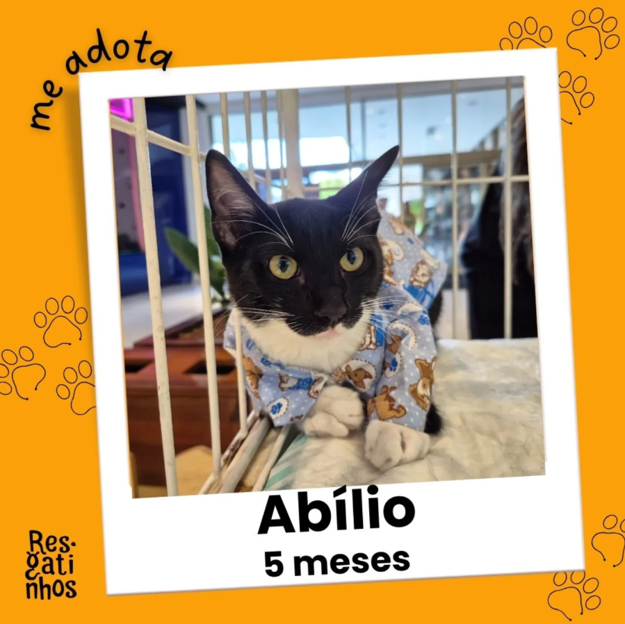 Foto de Abílio