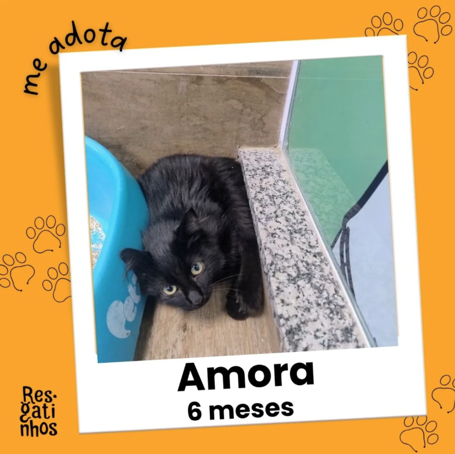 Foto de Amora