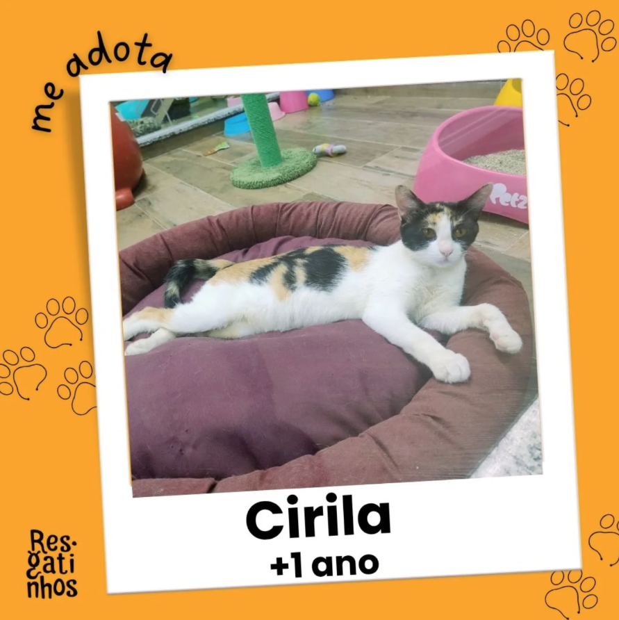 Foto de Cirila