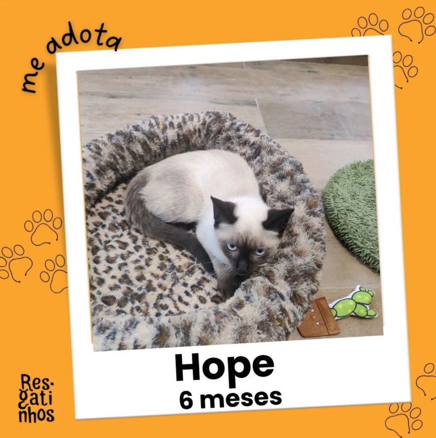 Foto de Hope