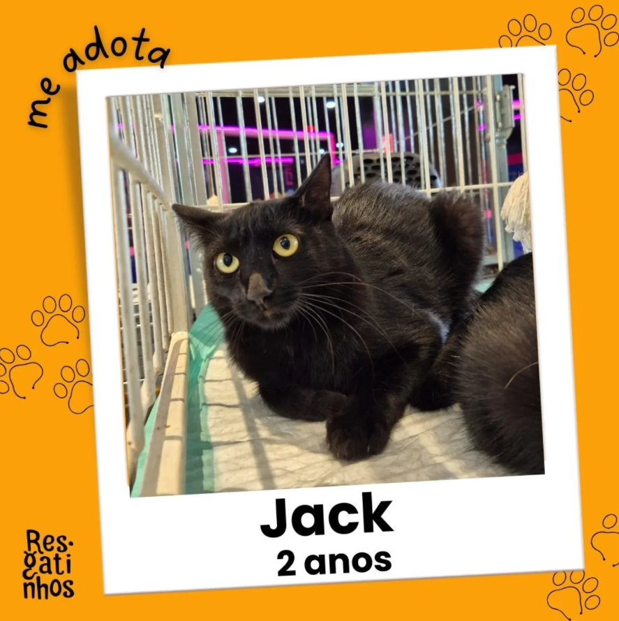 Foto de Jack