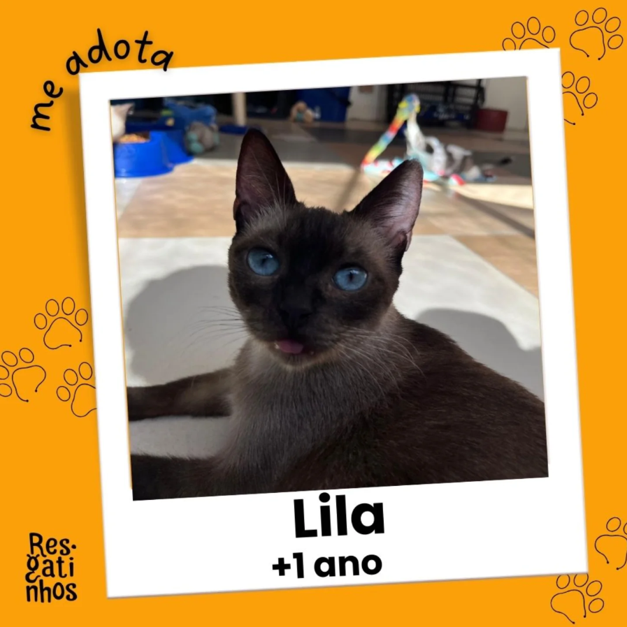 Foto de Lila