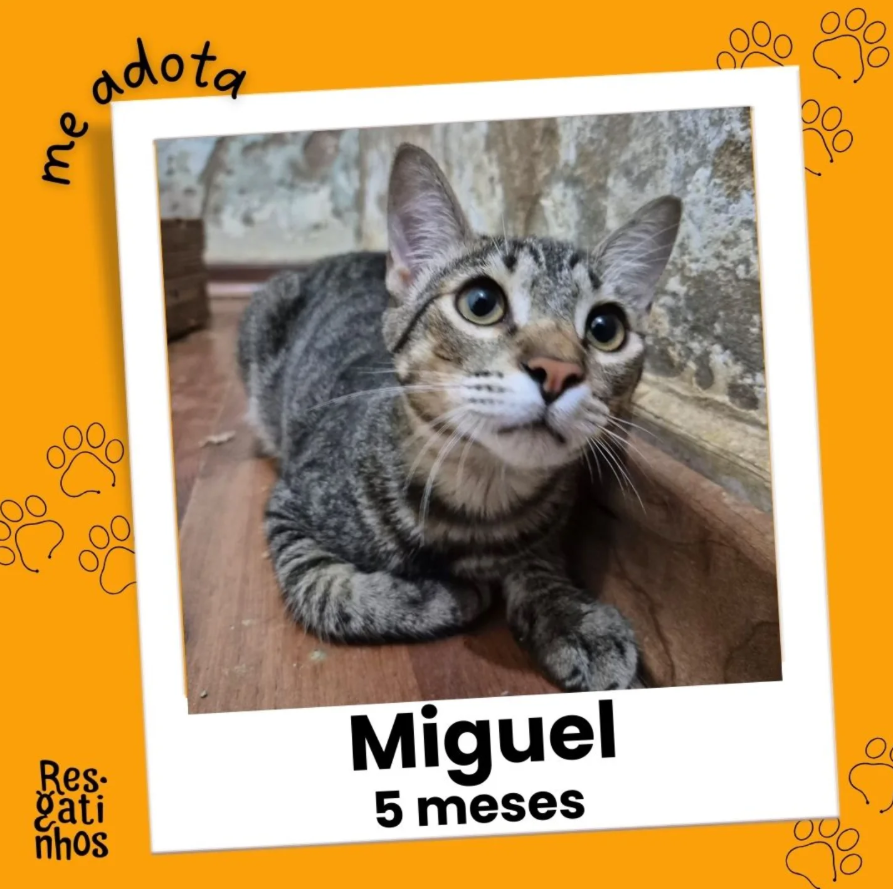 Foto de Miguel