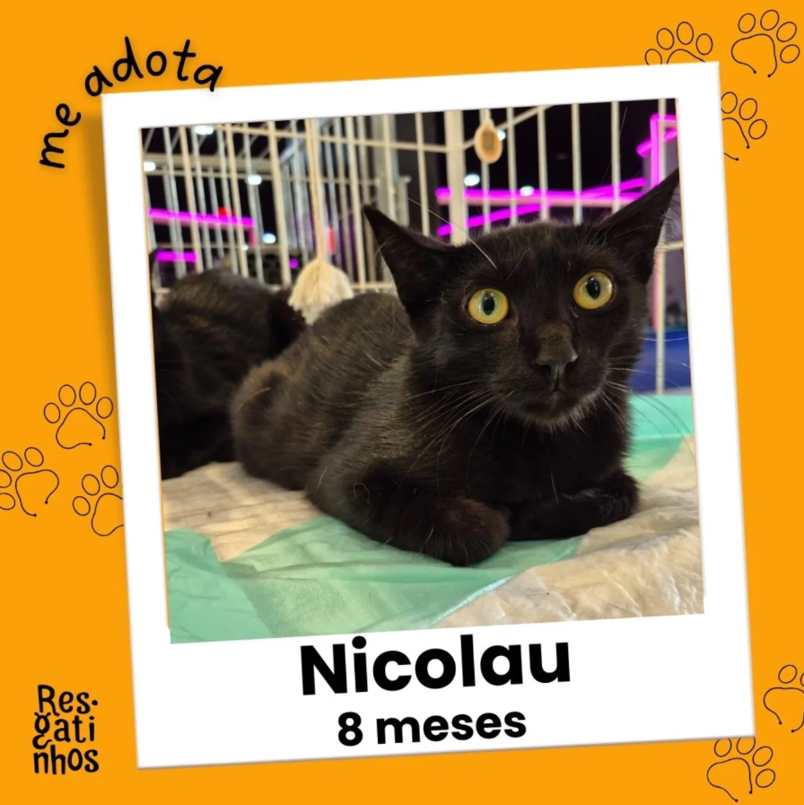 Foto de Nicolau