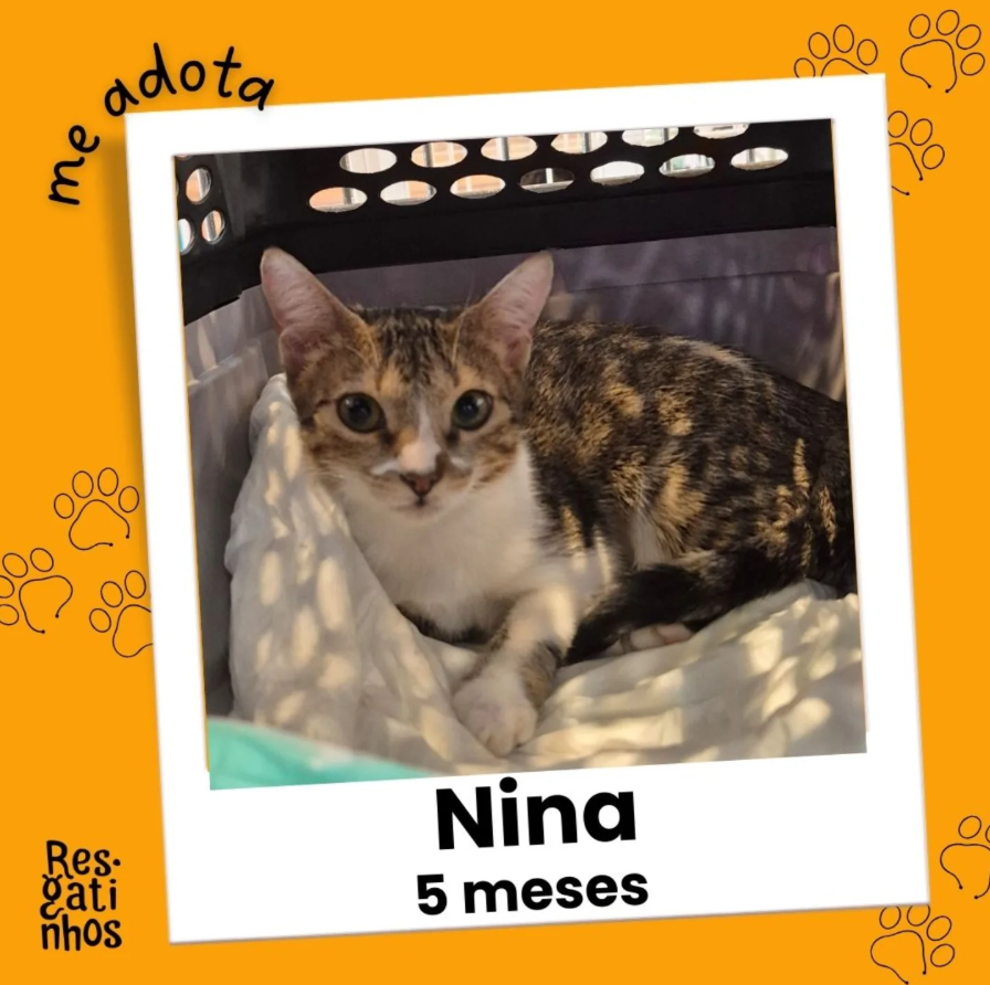 Foto de Nina